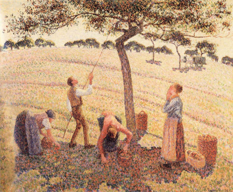 Apple picking at Eragny-sur-Epte